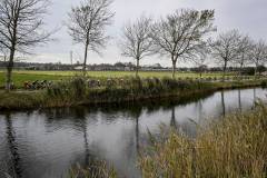 CYCLING DRIEDAAGSE BRUGGE DE PANNE WOMEN