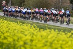 CYCLING DRIEDAAGSE BRUGGE DE PANNE WOMEN