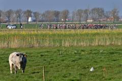 CYCLING CLASSIC BRUGGE-DE PANNE MEN